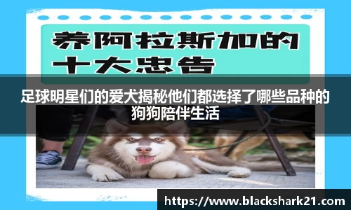 足球明星们的爱犬揭秘他们都选择了哪些品种的狗狗陪伴生活